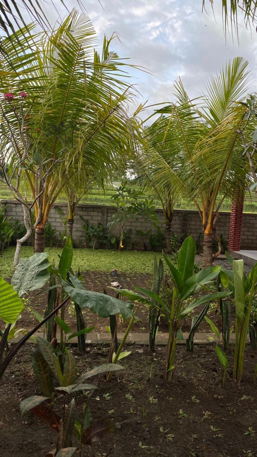 Homestay Alen's Stay&surf