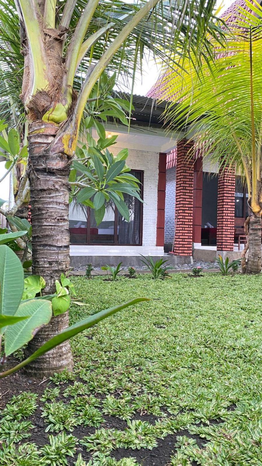Alen's Stay&surf Homestay *