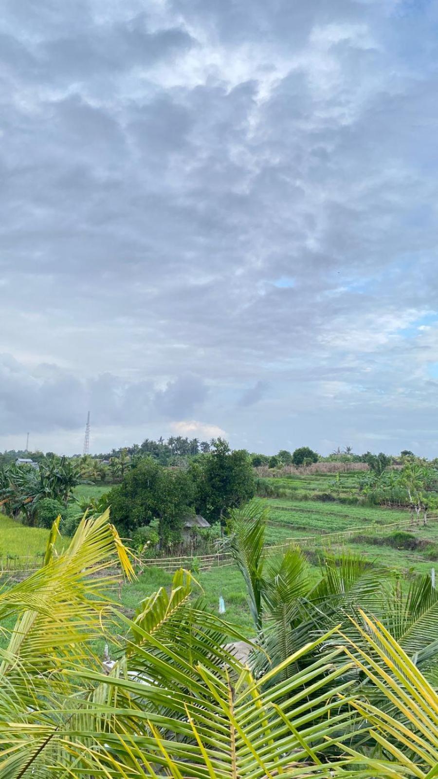 Alen's Stay&surf Airsatang